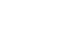 Plant Based
